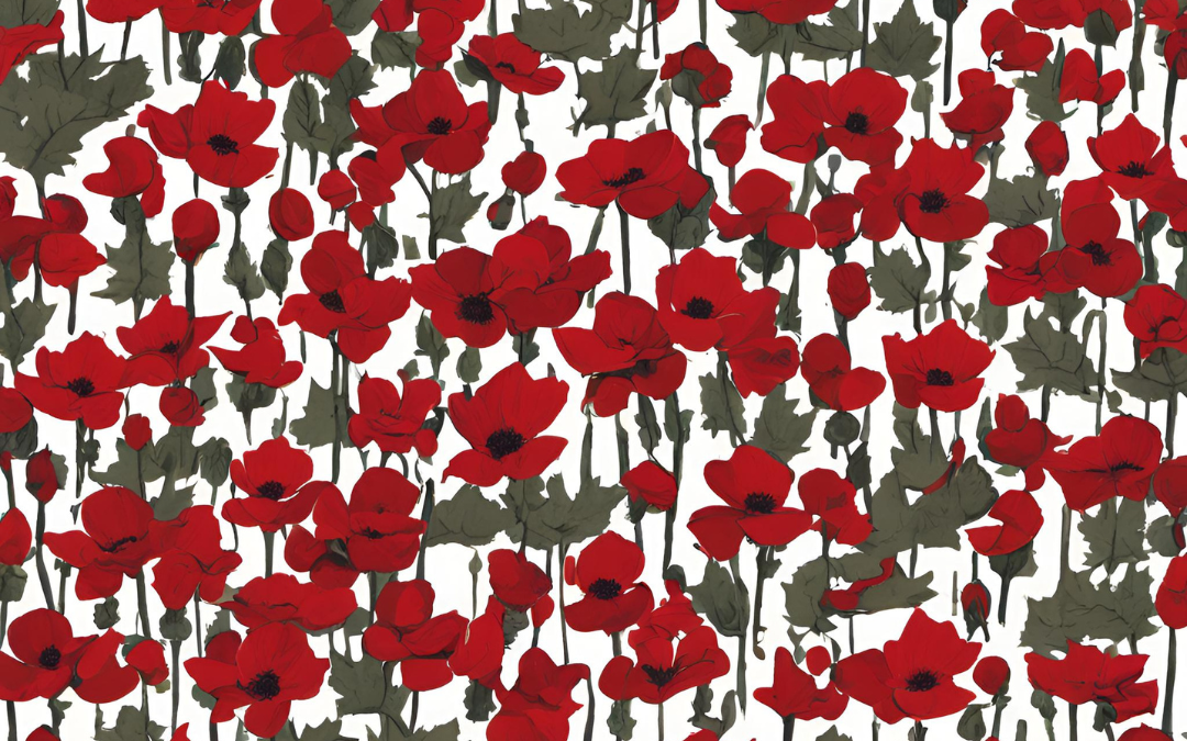 Honouring Our Heroes: Reflecting on Remembrance Day